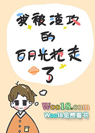 我被渣攻的白月光抢走了(穿越)